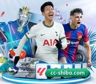 五大服务分区,信息按项目分类